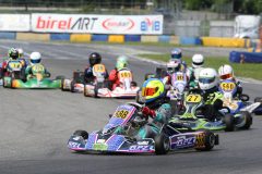 Rotax_Junior_Ph_Ghinassi_GHIN4093